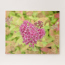Recherche de flèche puzzles Rose