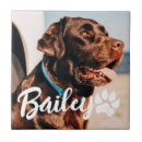 Recherche de photo carreaux Pour tous