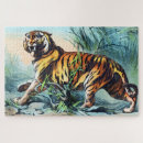 Recherche de tigre de bengale puzzles Animaux
