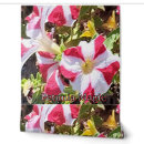 Recherche de pétunia maison deco Floral