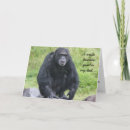 Recherche de singe de sourire Chimpanzé