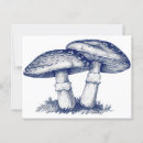 Recherche de illustration de plume cartes postales Dessin
