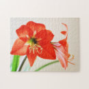 Recherche de amaryllis puzzles Nature