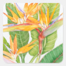 Recherche de fleurs exotiques autocollants Feuillage