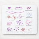 Recherche de microbe tapis souris Infection