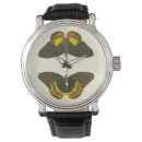 Recherche de insecte montres Blanc
