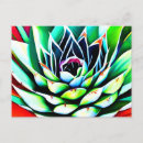 Recherche de agaves cartes postales Plante
