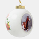 Recherche de peignez la boule Peignez le cheval