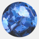 Recherche de hortensia bleu autocollants Fleur