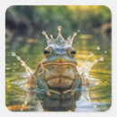 Recherche de humour de grenouille autocollants Pour tous