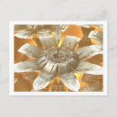 Recherche de fractale cartes postales Conception