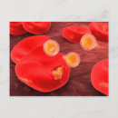 Recherche de globules rouges cartes postales Illustration