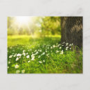 Recherche de créateur cartes postales Modèle