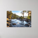 Recherche de professional art Professionnel