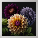 Recherche de fleur de dahlia posters Décoration