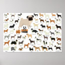 Recherche de races de chien posters Chiens
