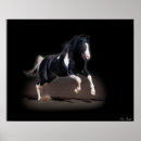 Recherche de photographies occidentales posters Animaux