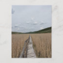 Recherche de roumanie cartes postales Nature