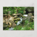 Recherche de turner posters Nature