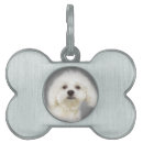 Recherche de maltais animaux articles Mignon