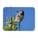 Recherche de de ressort magnets Pour elle