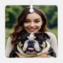 Recherche de français bulldog ornements Pour animaux
