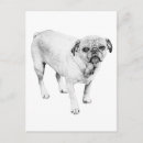 Recherche de portrait de chien cartes postales Pour tous