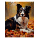 Recherche de collie posters Animal de compagnie