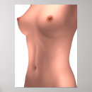 Recherche de torse posters Anatomie