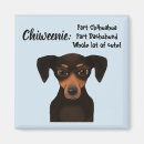 Recherche de chien teckel magnets Saucisse