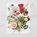 Recherche de poney mignon cartes postales Fleurs
