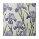 Recherche de iris carreaux Nature