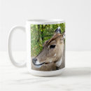 Recherche de animaux de zoo tasses Animal sauvage