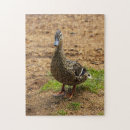 Recherche de canard puzzles Amoureux des oiseaux