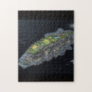 Recherche de nerd puzzles Nerf