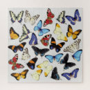 Recherche de morpho puzzles Tropical
