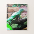 Recherche de lézard puzzles Reptile