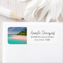 Recherche de vert et blanc photographie Photographie de la nature