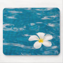 Recherche de plumeria tapis souris Fleurs
