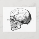 Recherche de crâne noir et blanc cartes postales Effrayant
