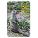 Recherche de refuge magnets Faune
