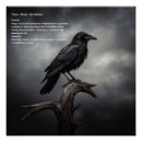 Recherche de corneille posters Corbeau