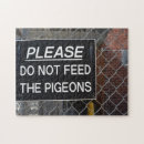 Recherche de pigeon puzzles Photographie