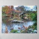 Recherche de central park new york city posters Skyline