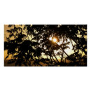 Recherche de travies posters Photographie