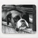 Recherche de boxer tapis souris Dog