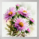 Recherche de asters posters Pour tous