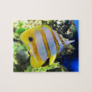 Recherche de butterfly puzzles Jigsaw