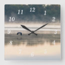 Recherche de grues horloges Faune