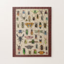 Recherche de motif papillon puzzles Insectes